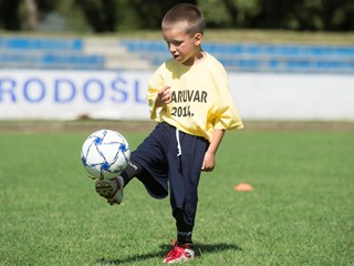 Natječaj za dodjelu Trofeja podmlatka HNS-a za 2014.
