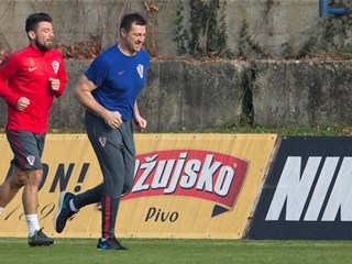 Pranjić to miss out on Russia friendly