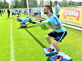 Brozović: "Mislim da će sve ispasti dobro"