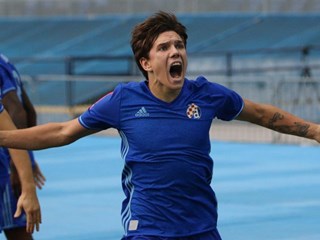 Brojnost, nadarenost, svestranost