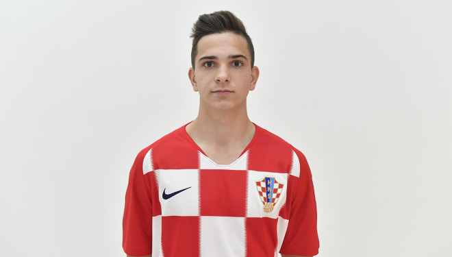 Viktor Kanižaj