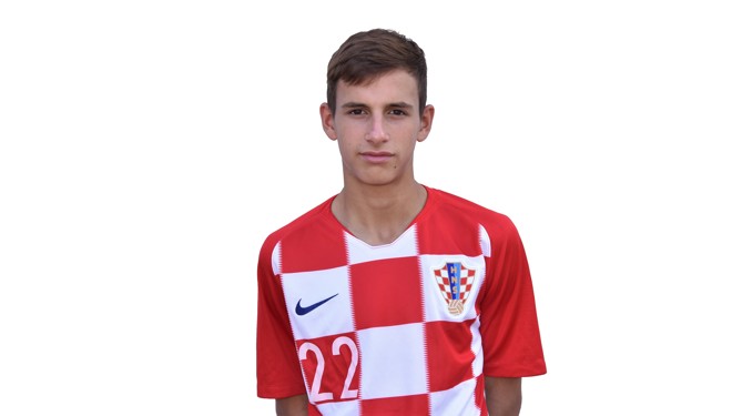 Luka Lukanić