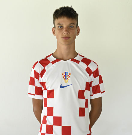 Roko Lerga