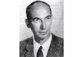 Vatroslav Petek