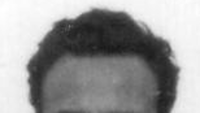 Svemir Delić