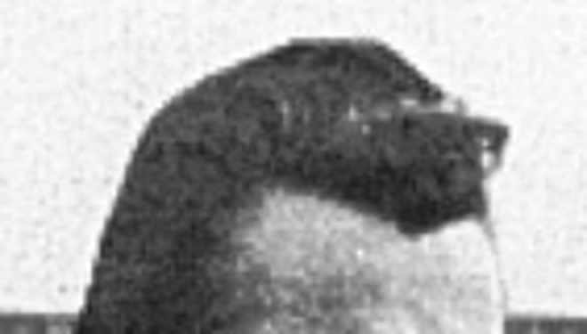 Ivan Šuprina