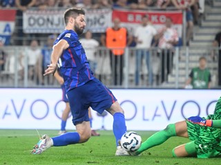 Petković u Kocaelisporu, Beljo u Dinamu