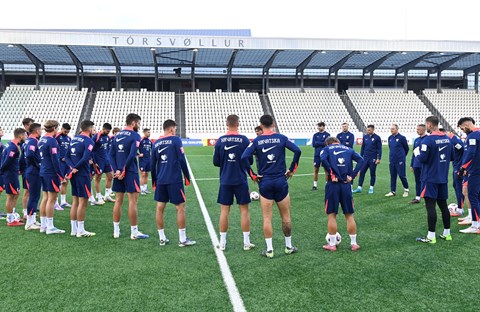 Kad zagrme Vatreni...