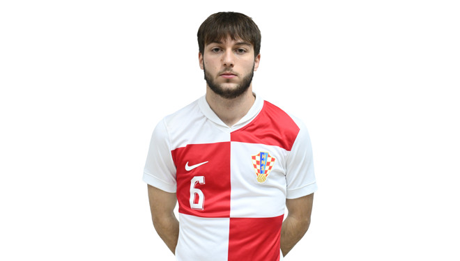 Karlo Zulfić