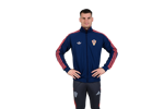 Dominik Livaković