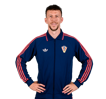Ivan Perišić