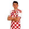 Ante Budimir