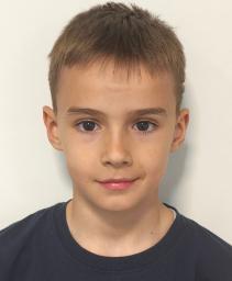 Karlo Nikola Budimir