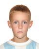 Matej Mitrović