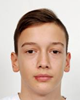 Karlo Teofilović