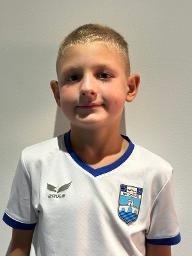 Domagoj Ileš