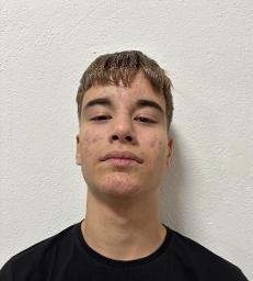 Toma Gabriel Stanić