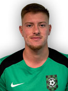 Frano Mesarić