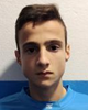 Karlo Cvitković