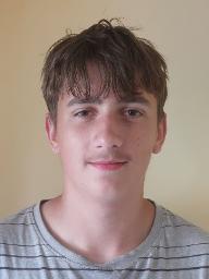 Aleksandar Obučina