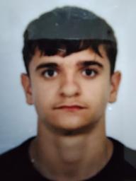 Domagoj Ožbolt