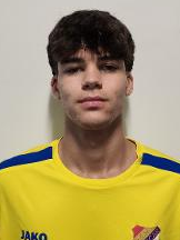 Karlo Katić
