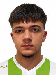 Luka Majcan