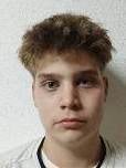 Fran Radiček