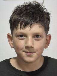 Mata Lajšić