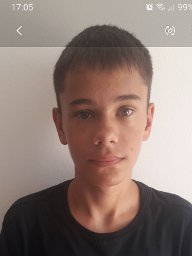Lamnek Gabriel