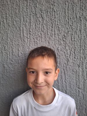 Niko Punek