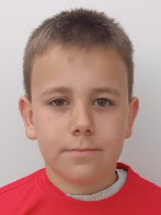 Nikola Maličić Veić