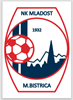 NK Mladost Marija Bistrica