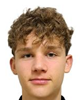 Arien Bertoša