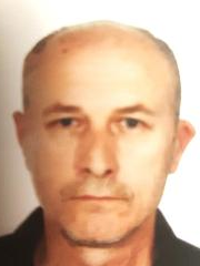 Željko Pavić