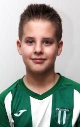 Dino Budimir