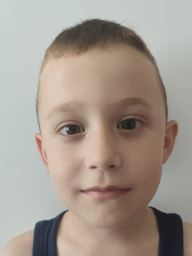 Jure Brnjik