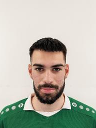 Ivan Vlade Budimir