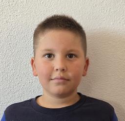 Dominik Sedmak