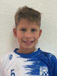 Niko Alerić