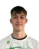 Grgur Svetec