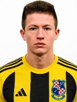 Luka Pajić