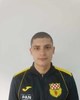 Karlo Hladnić