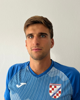 Karlo Begović