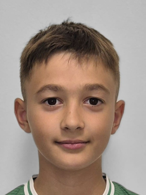Domagoj Perica