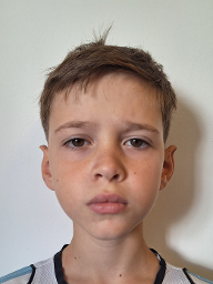 Andrija Hajsan
