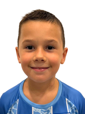 Borna Videk