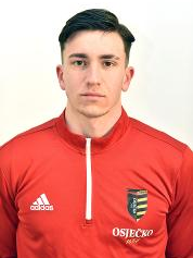 Luka Stanić