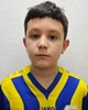 Ante Vučemilović Grgić