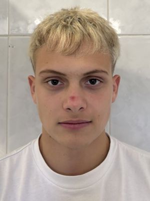 Dominik Puškarić